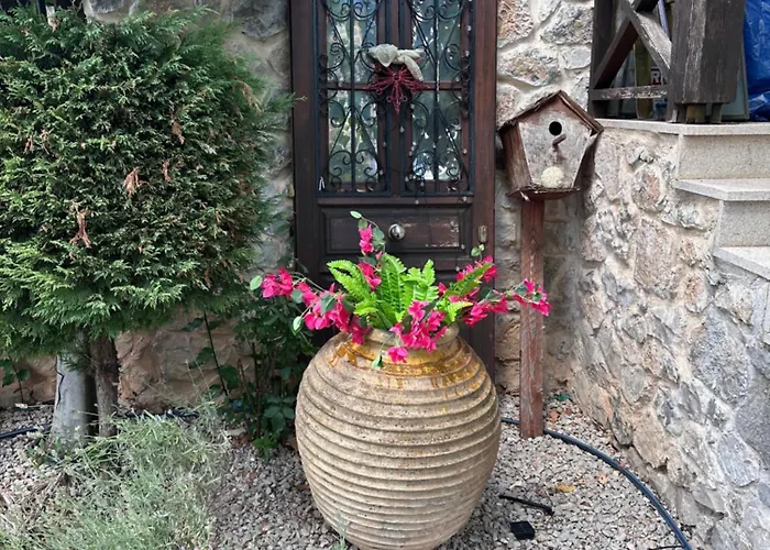 别墅 Angel House Greystone *