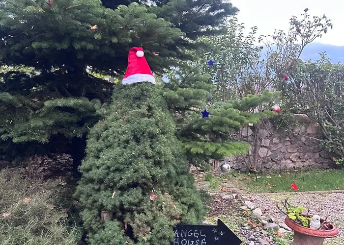 Angel House Greystone *